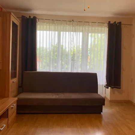 Apartment Near The Center *